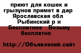 приют для кошек и грызунов примет в дар - Ярославская обл., Рыбинский р-н Бесплатное » Возьму бесплатно   